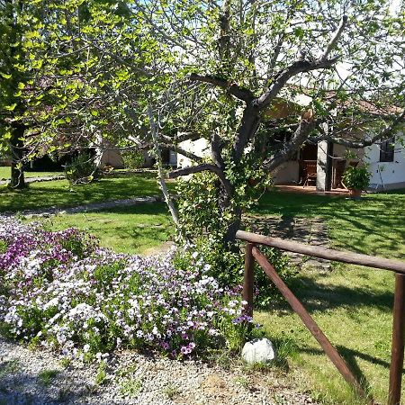 Agriturismo Sicomoro Villa Capalbio Luaran gambar